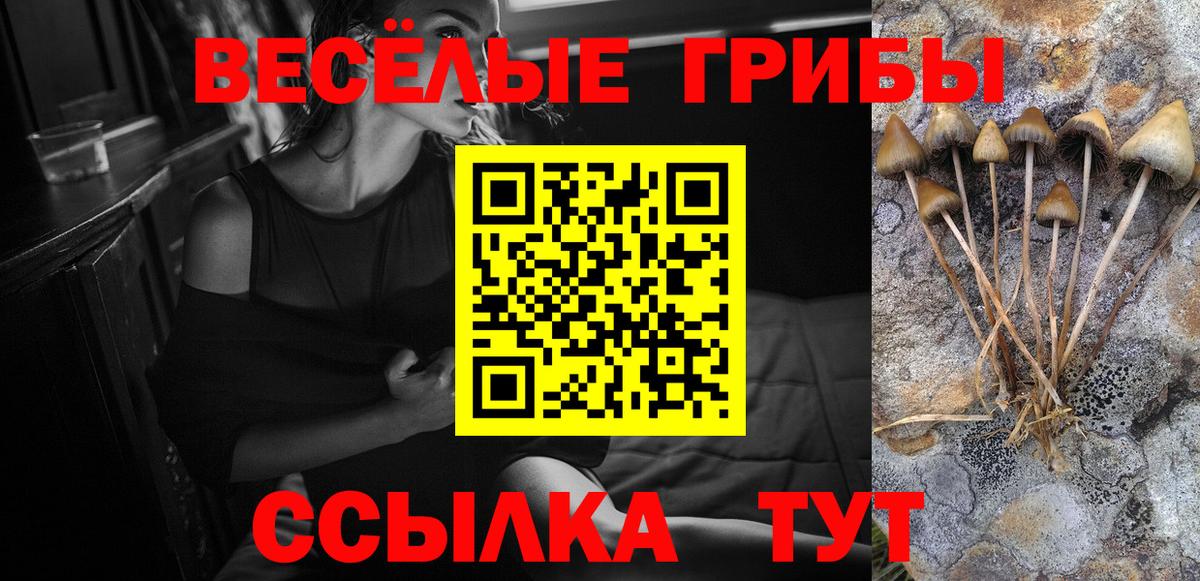 Псилоцибиновые грибы прущие грибы  Вход с VPN  Мелеуз 